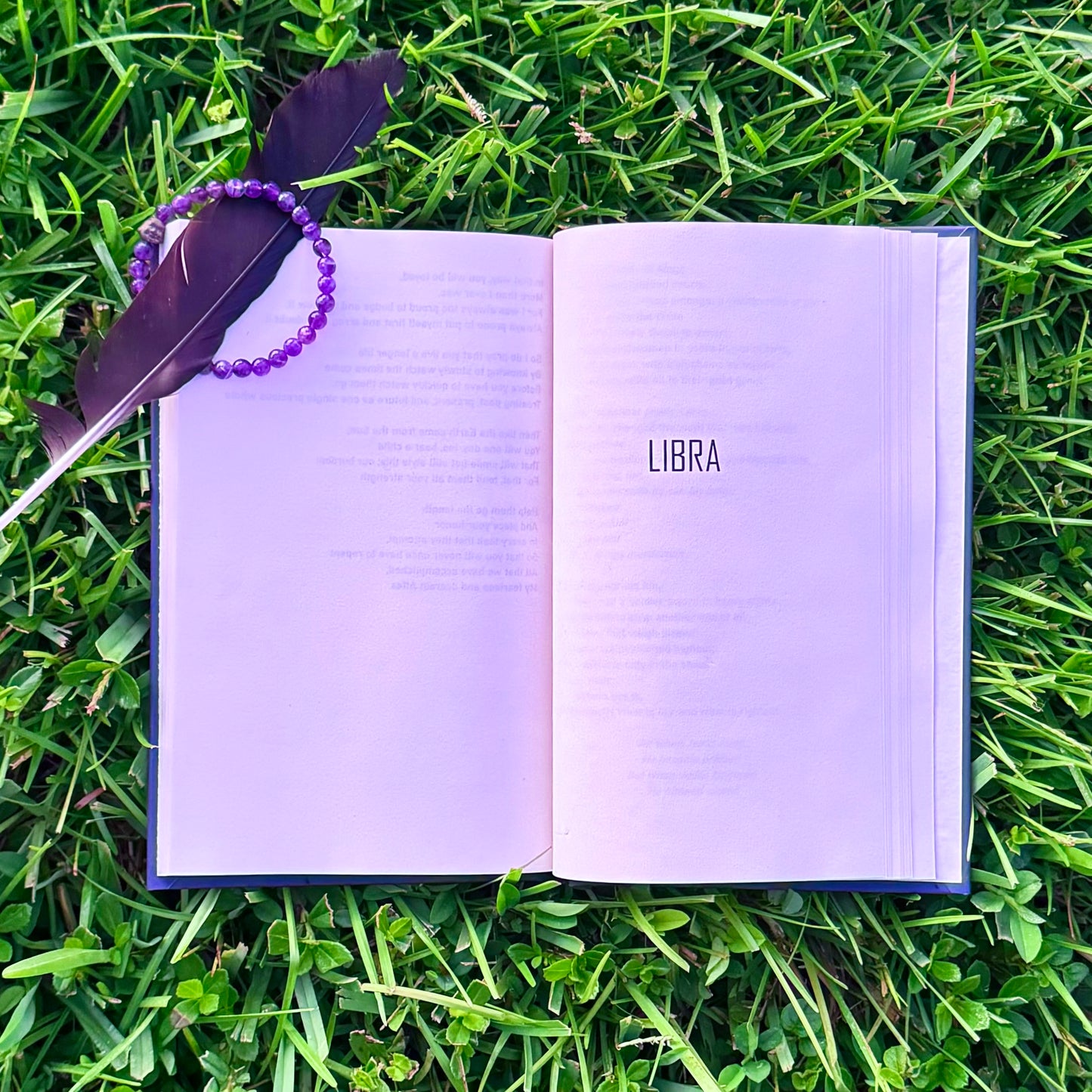 A Book Of Poetry, Volume I: Of This Life And Past (Hard Cover)