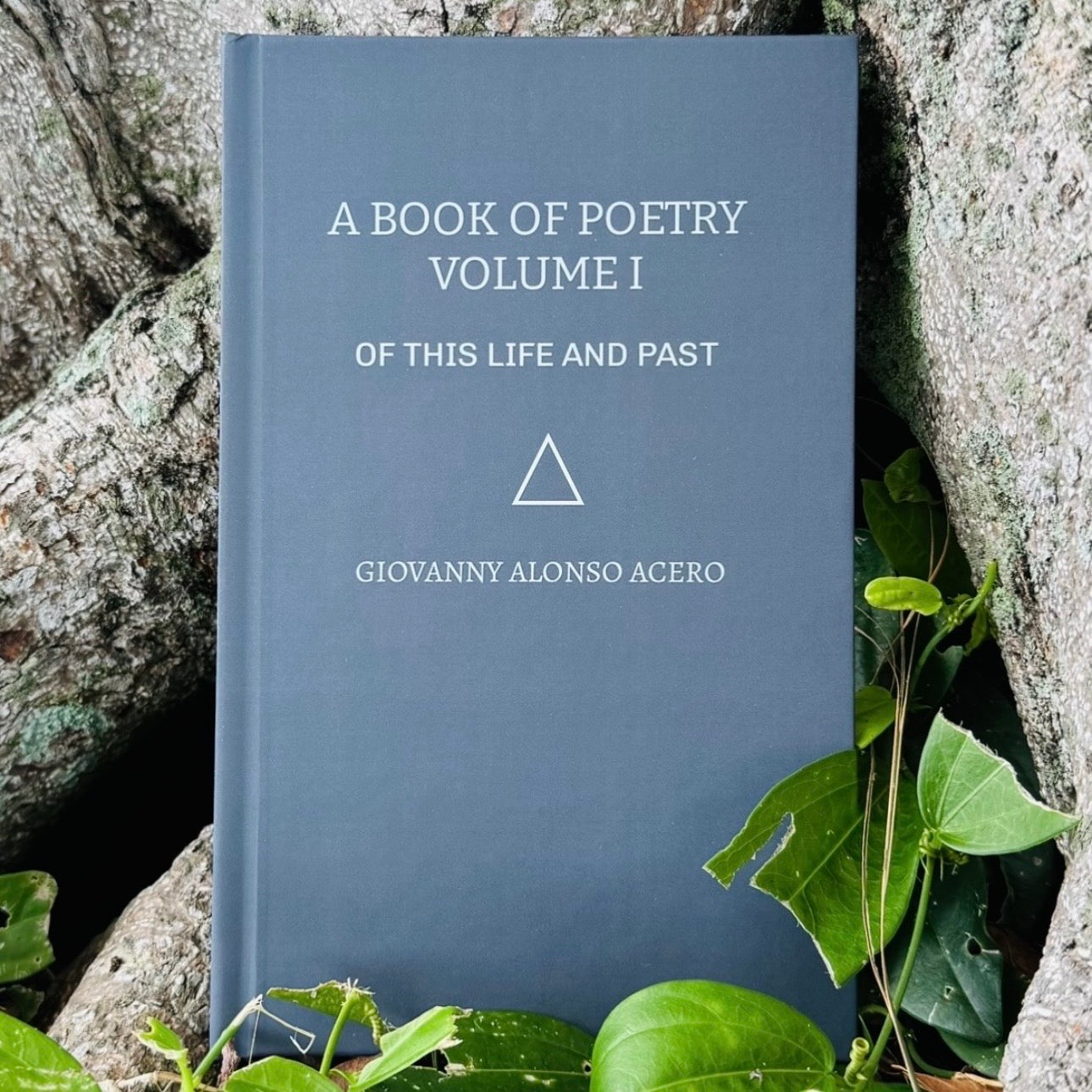 ABOPVI: Of This Life And Past