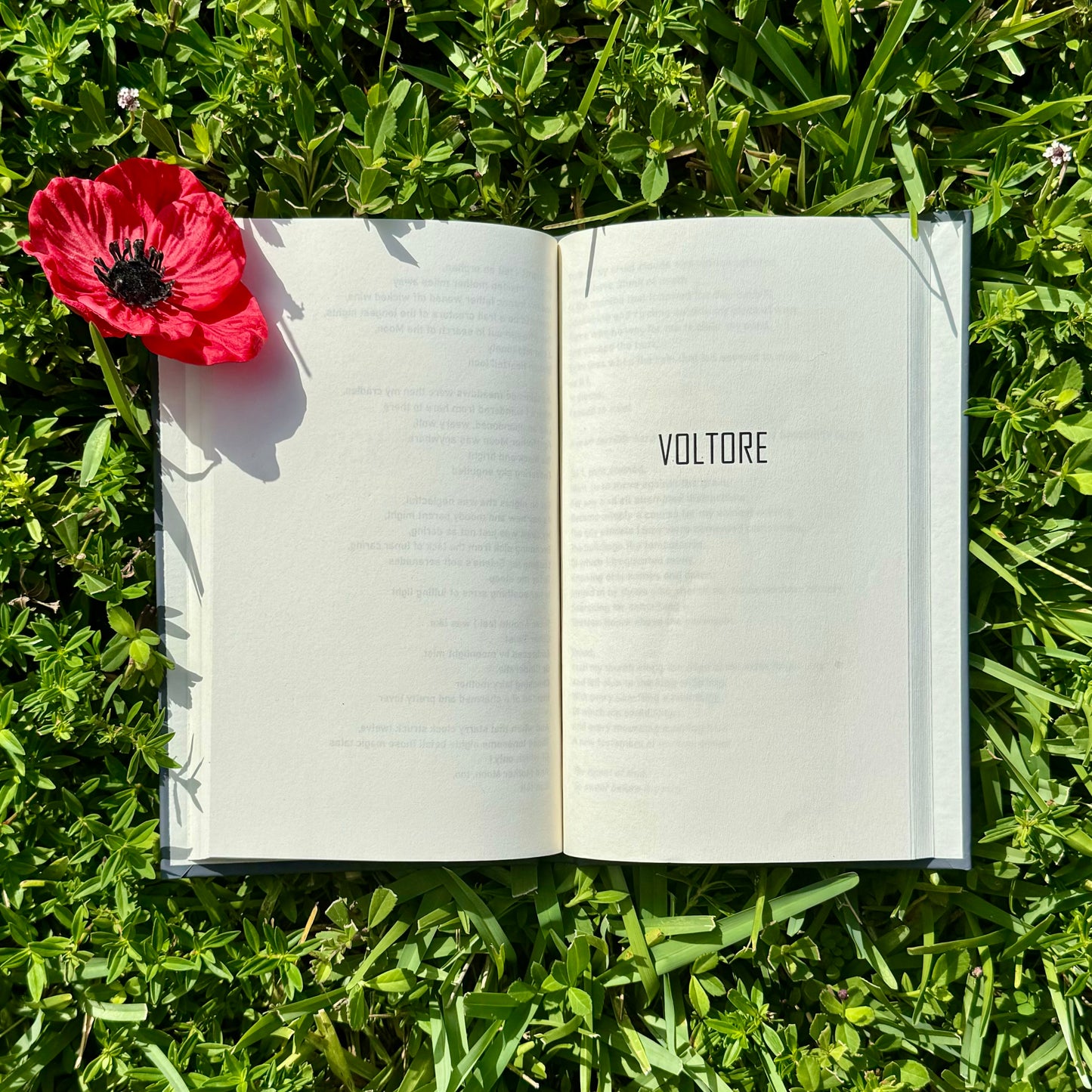 A Book Of Poetry, Volume I: Of This Life And Past