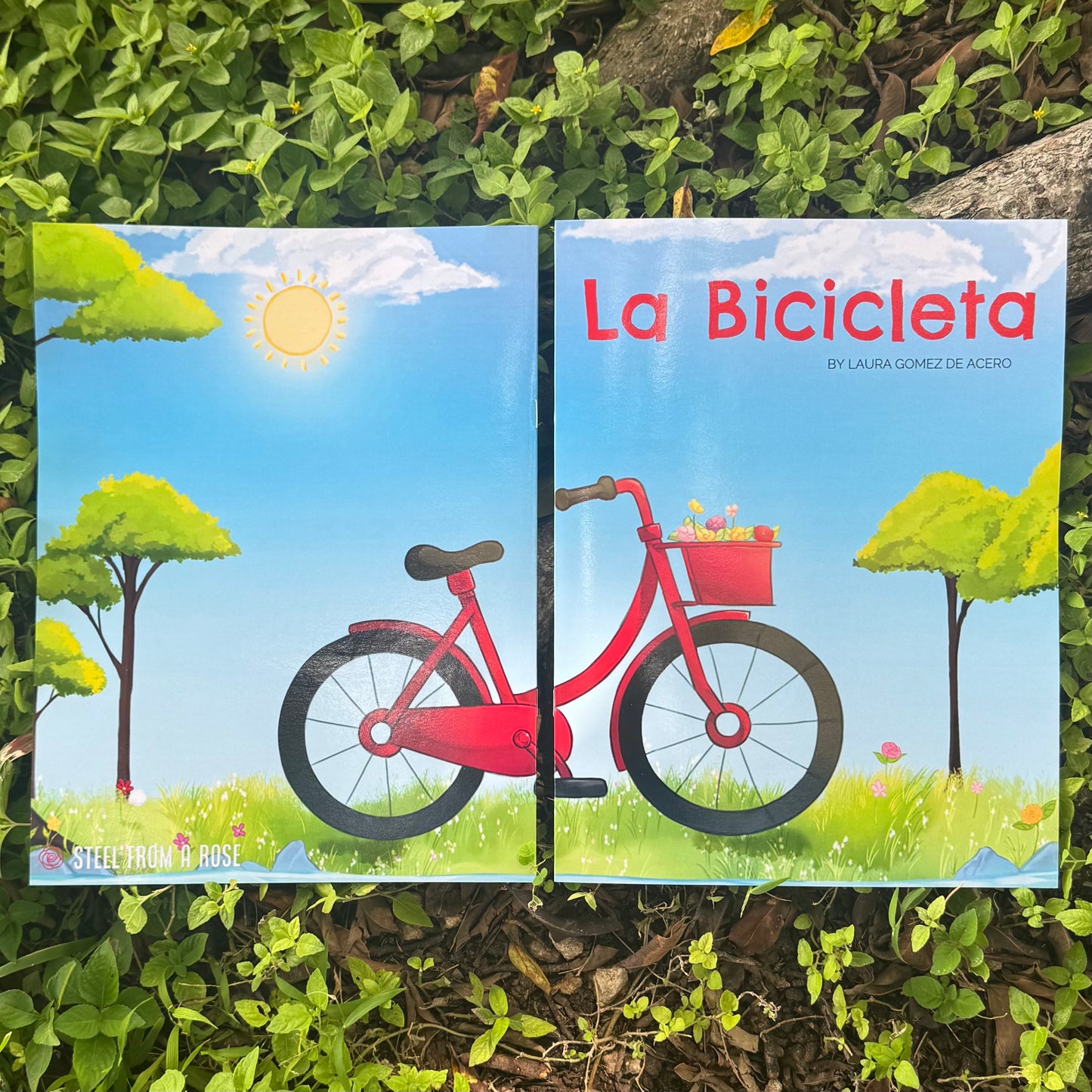 La Bicicleta