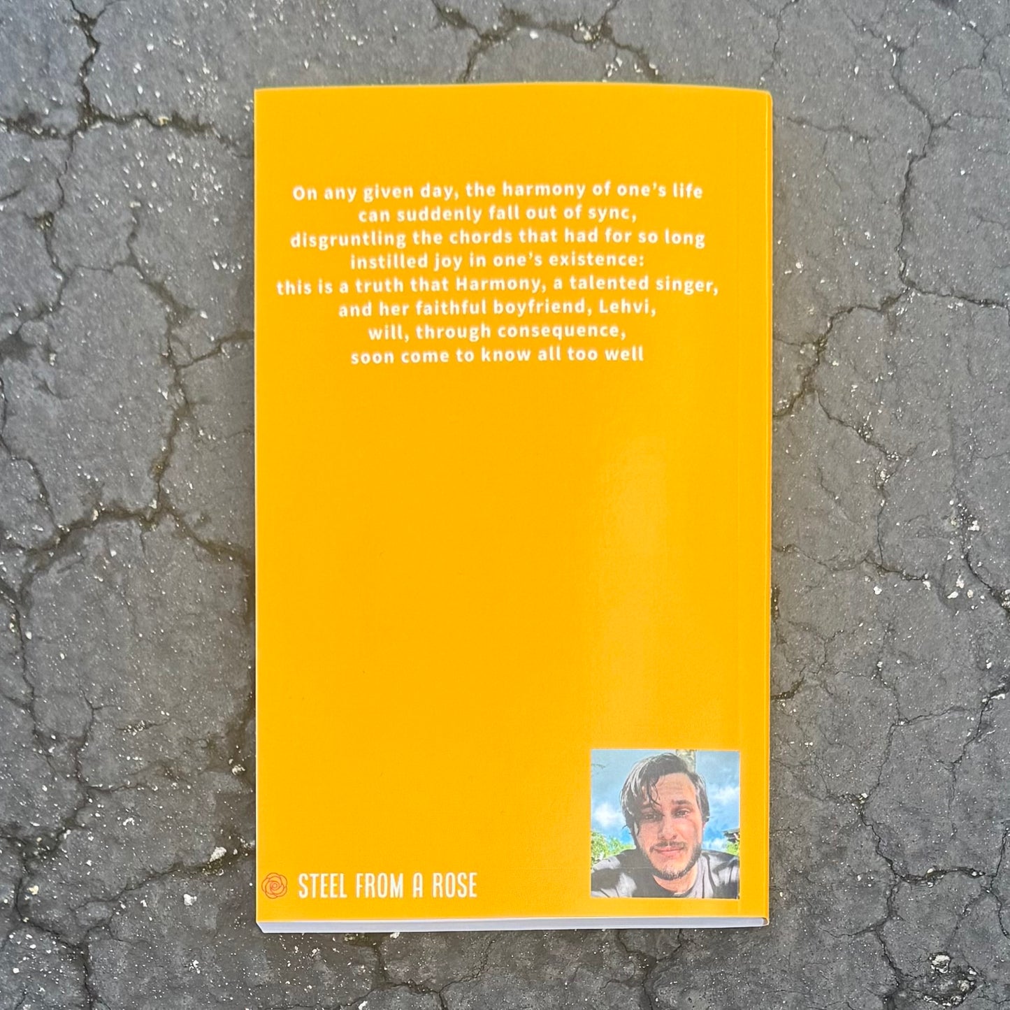 The Harmony Of Things: A Novella (11.19.2025)