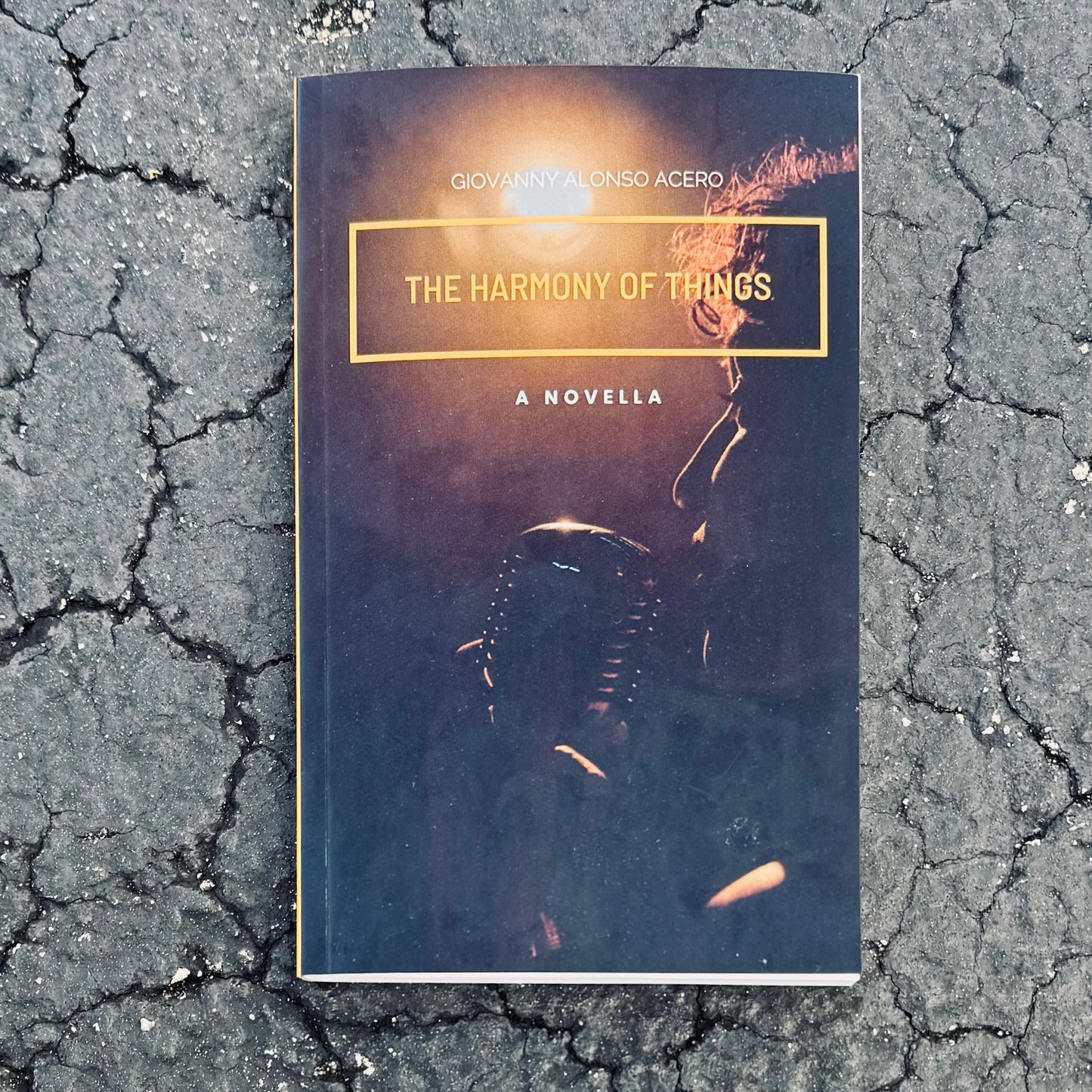 The Harmony Of Things: A Novella (11.19.2025)