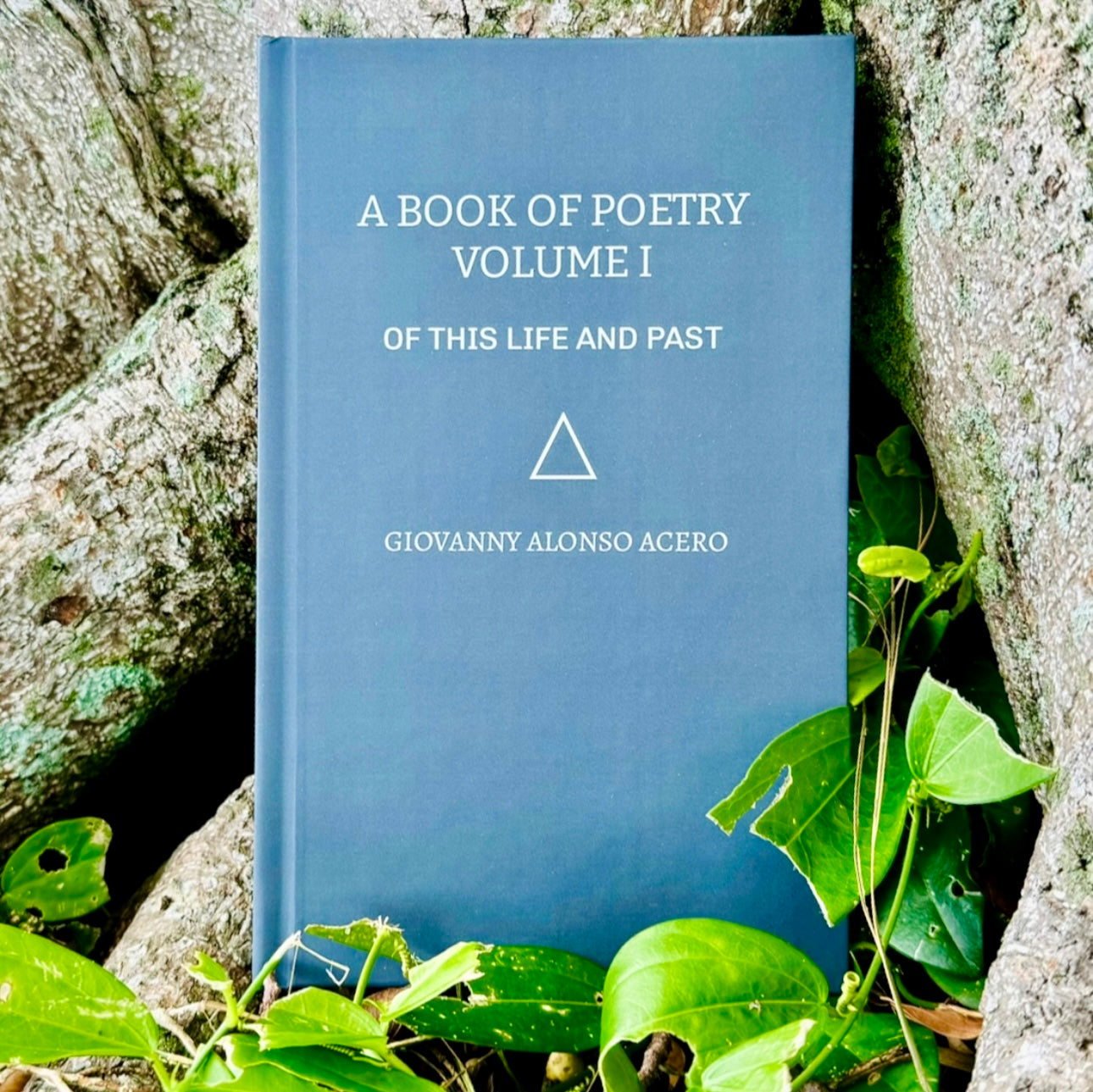 A Book Of Poetry, Volume I: Of This Life And Past (Hard Cover)